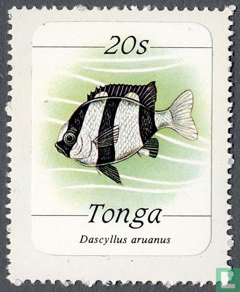 Zeedieren