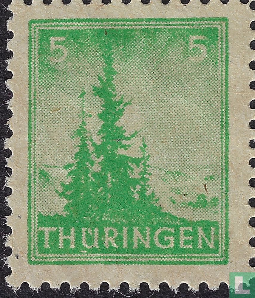 Dennenbomen