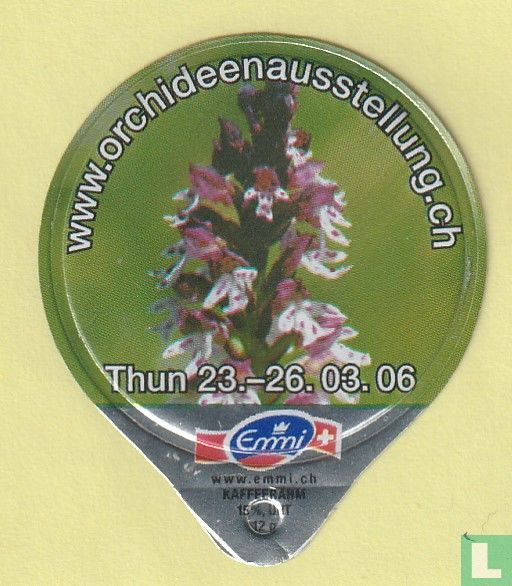 Orchideen 27