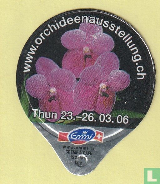 Orchideen 29