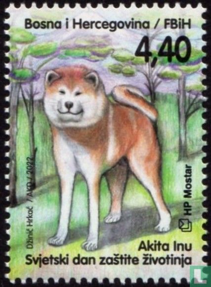 Akita