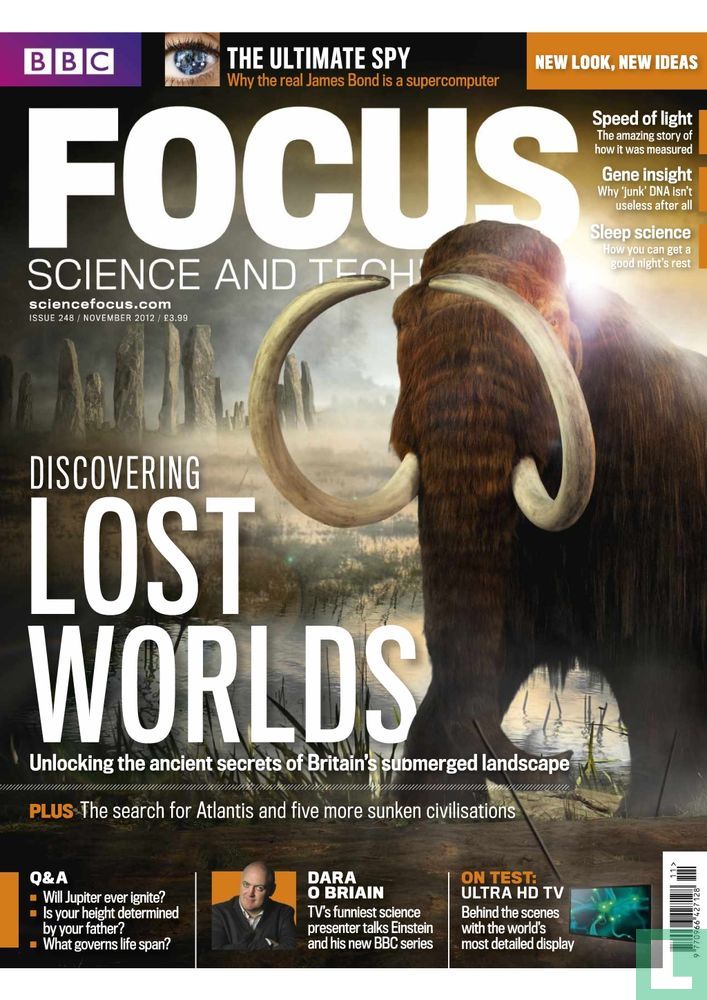 Focus [GBR] 11