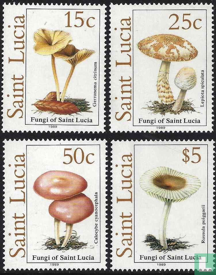 Champignons