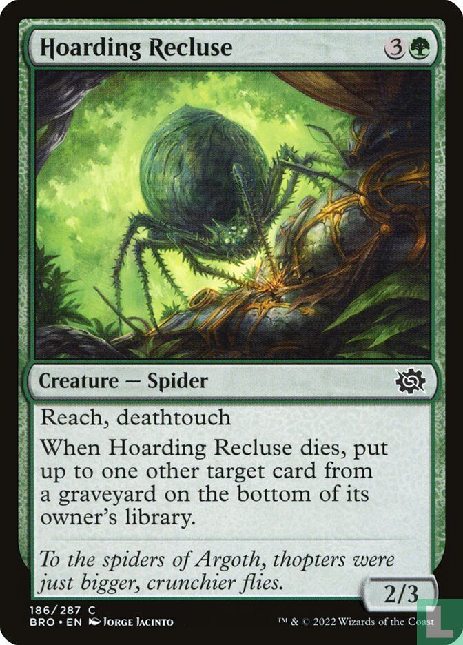 Hoarding Recluse