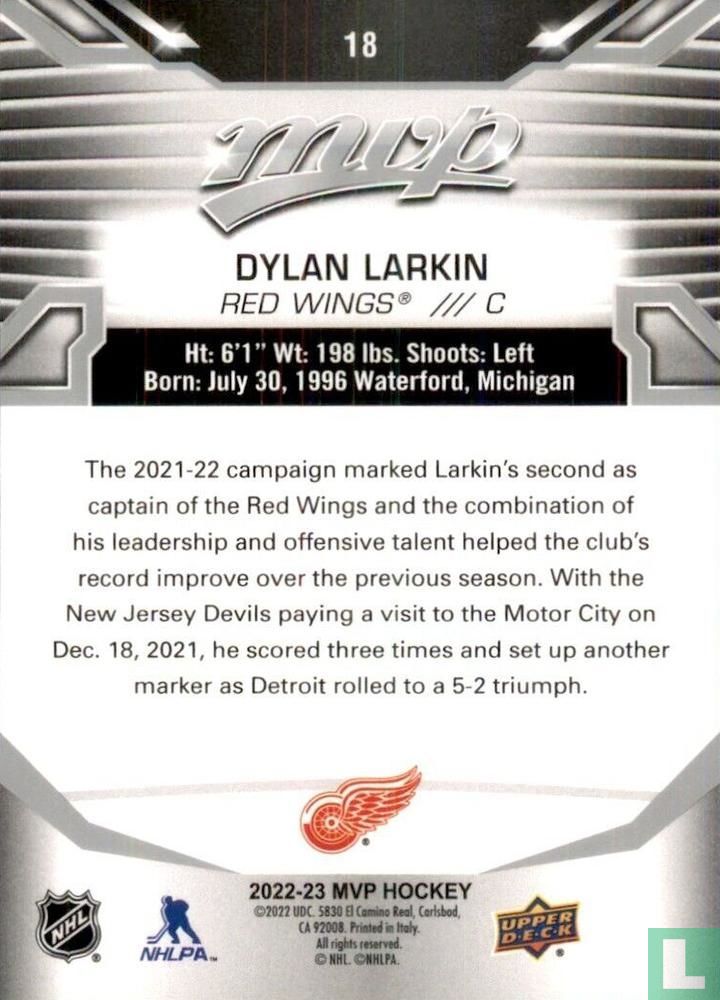 Dylan Larkin