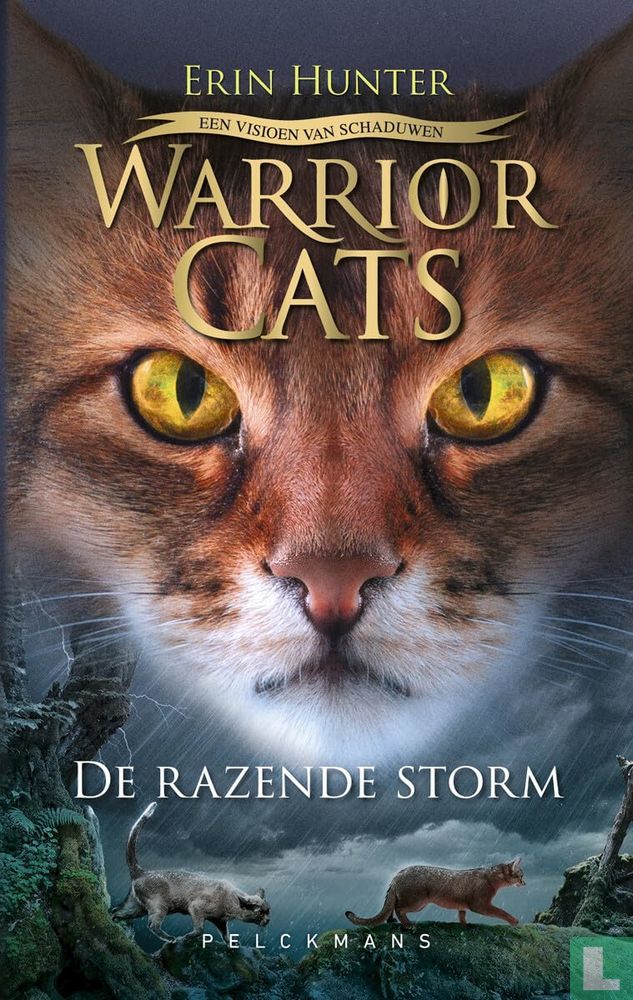 De Razende Storm