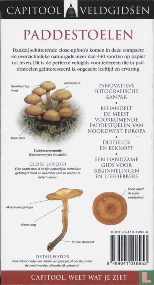 Paddestoelen