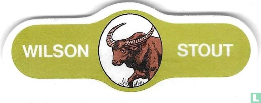 Wilson Stout
