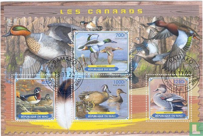 Canards