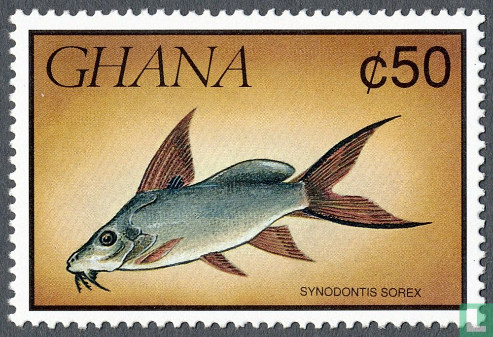 Fish