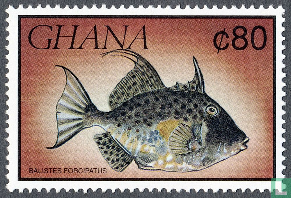 Fish