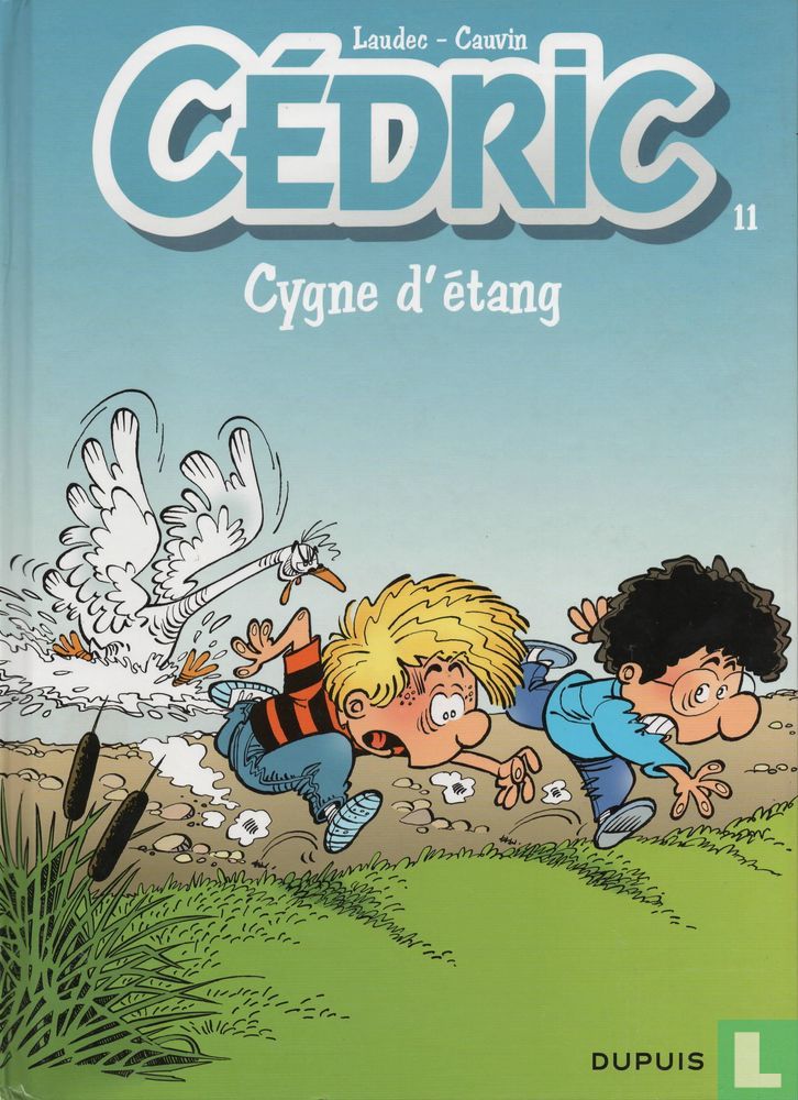 Cygne d'étang