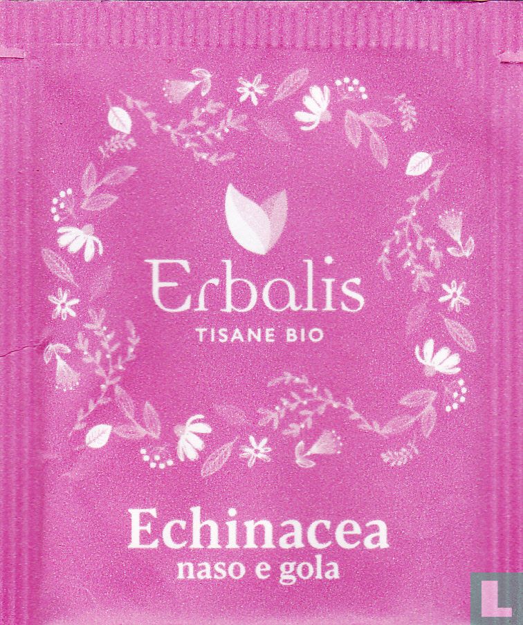 Echinacea
