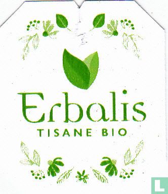 Echinacea