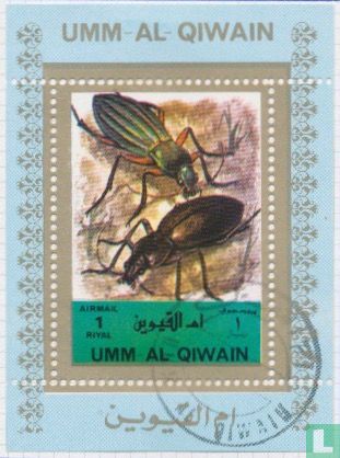 Insects