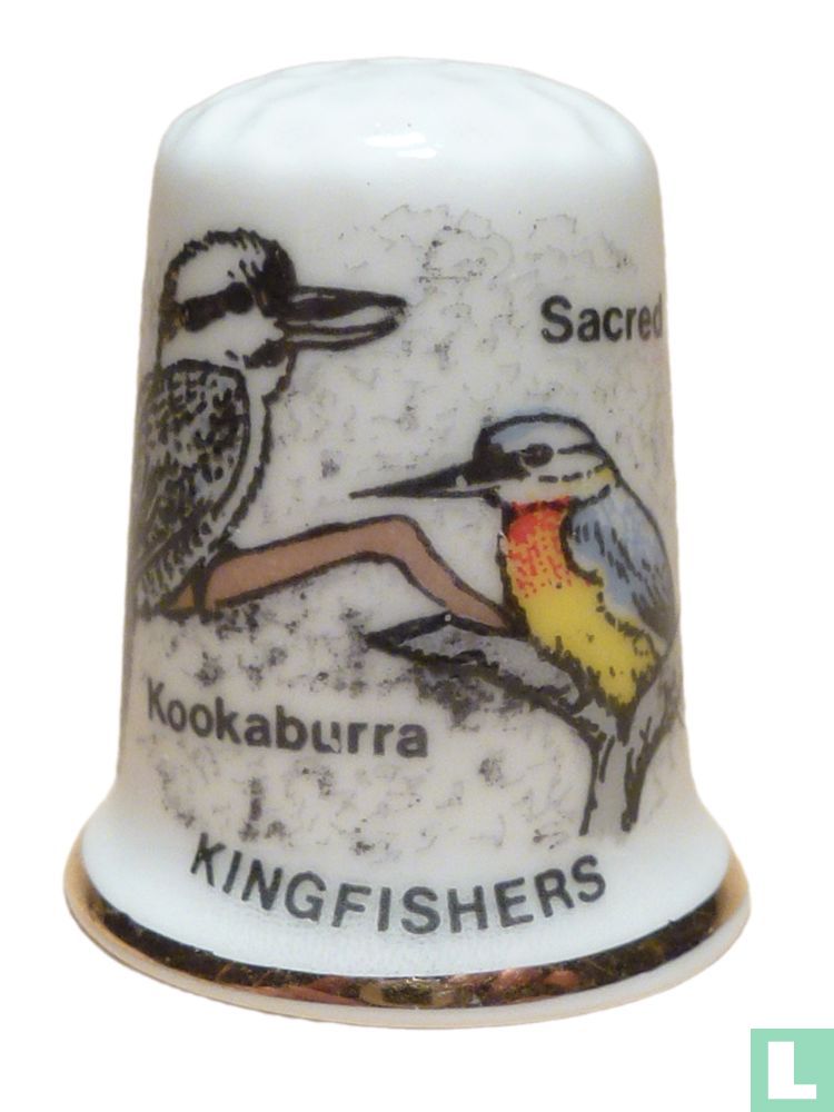 Sacre Kookaburra Kingfishers