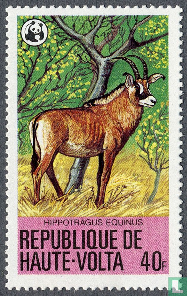 Endangered animals