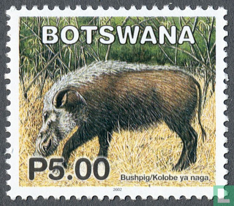 Bürste Wildschwein