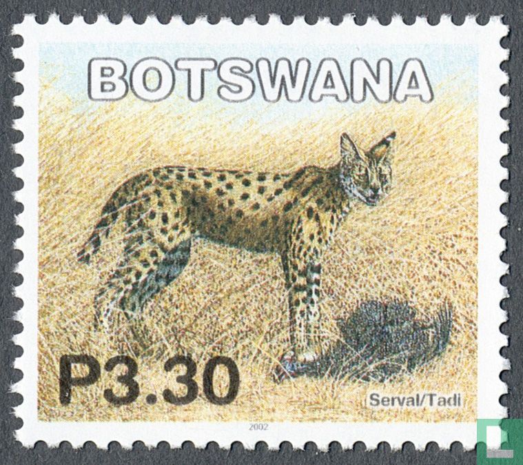 Serval