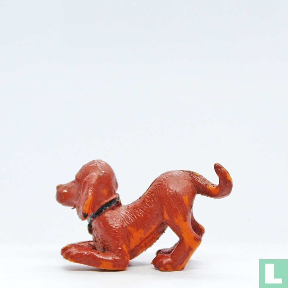 Paddy (Irish Setter)