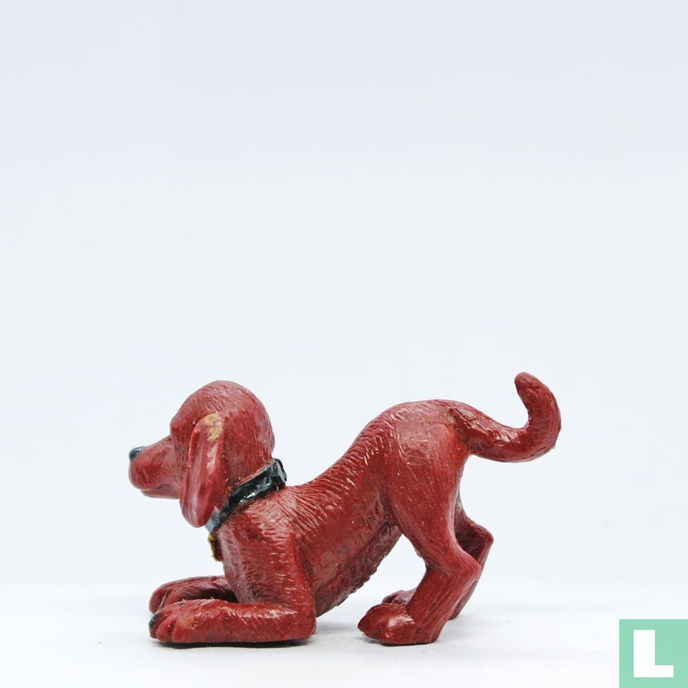 Paddy (Irish Setter)
