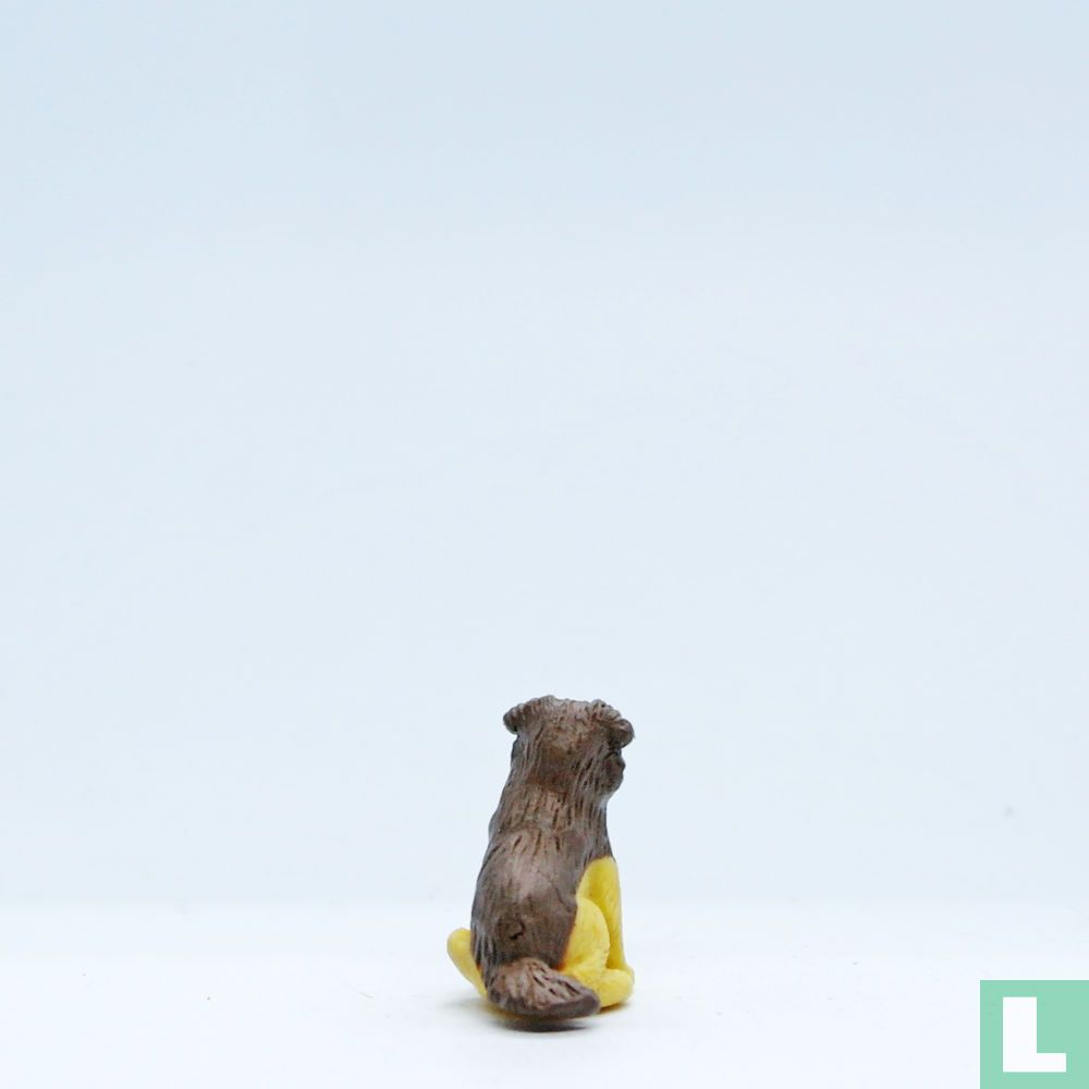 Chiot (Collie)