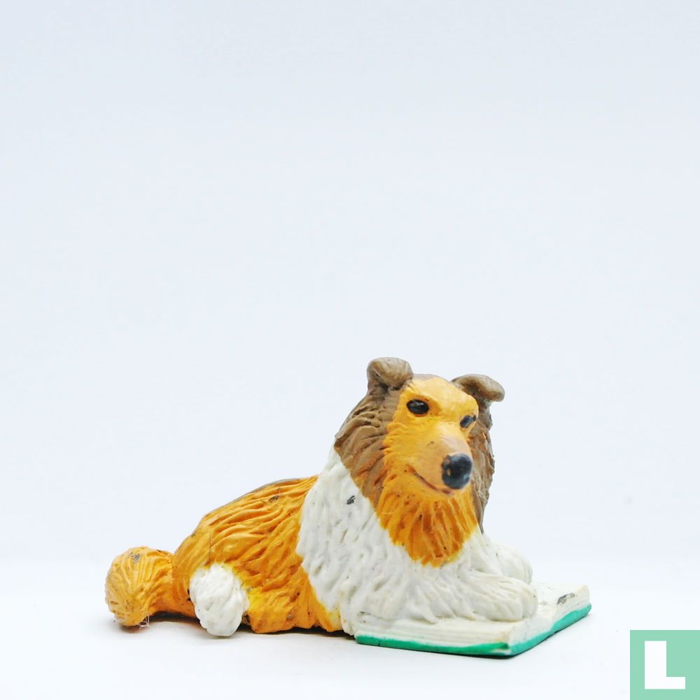 Claudia (Rough Collie)