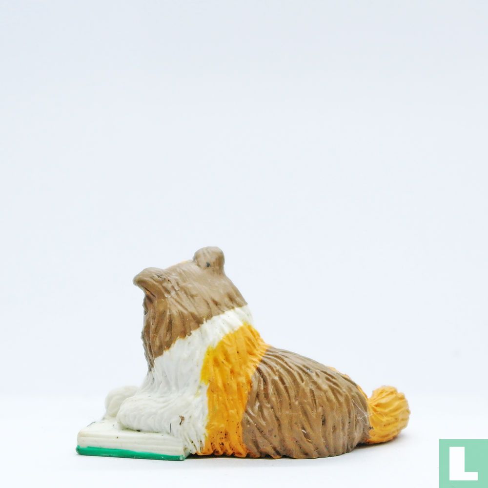 Claudia (Rough Collie)