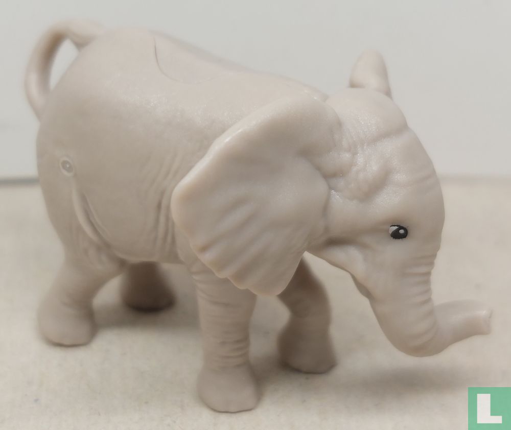 Elephant calf