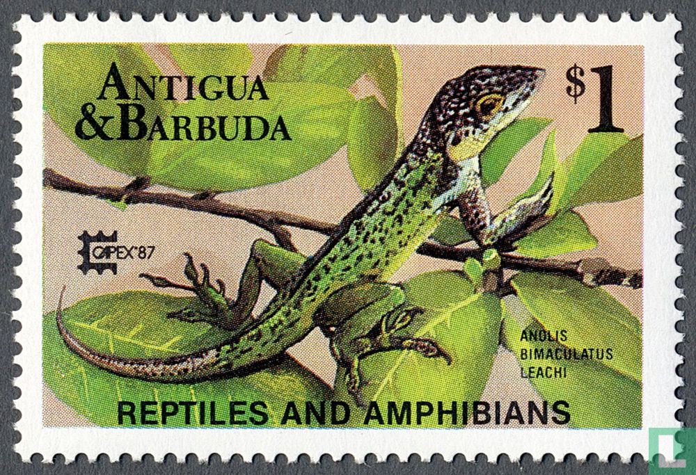 Reptiles