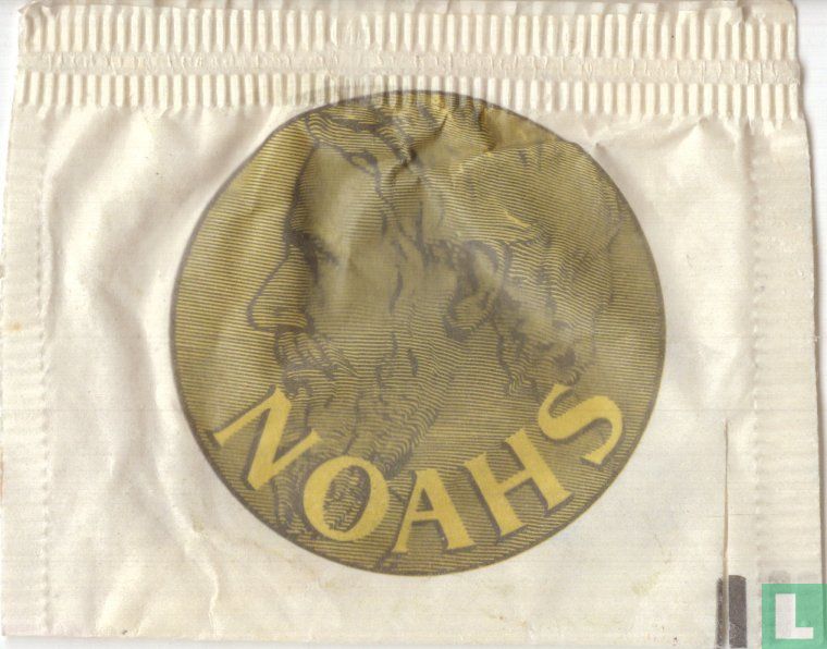 Noahs