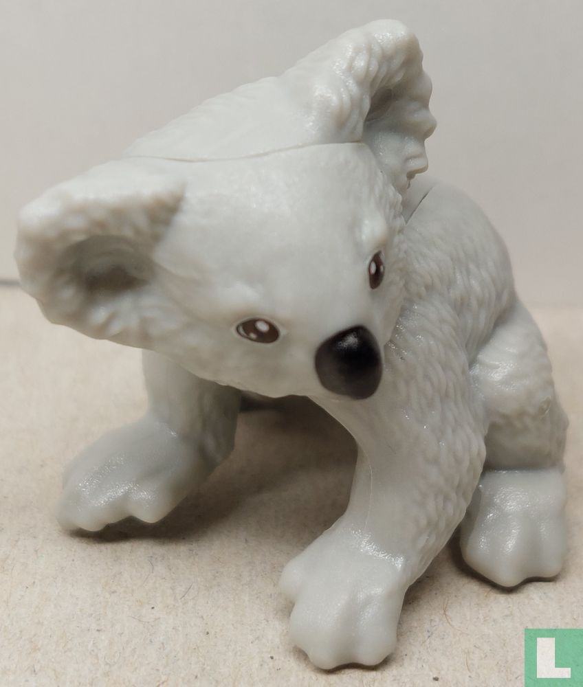 Koala