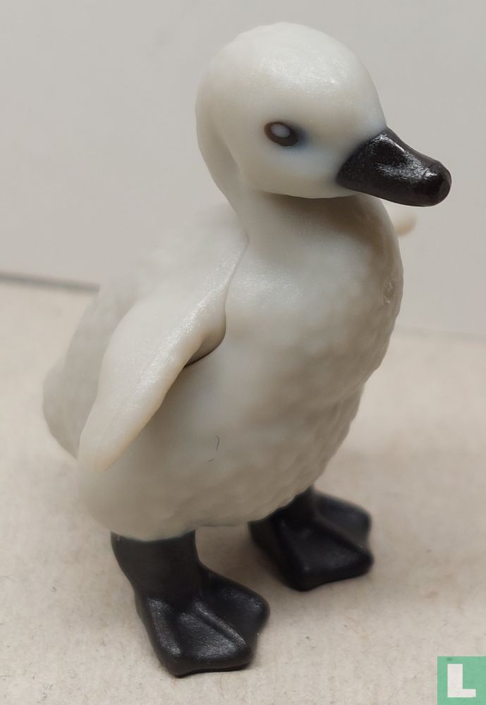 Swan