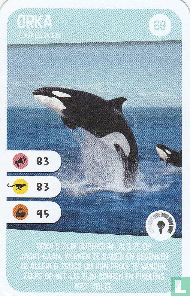 Orka