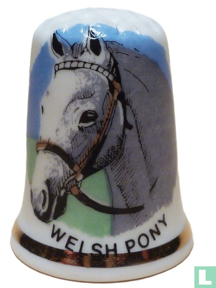 Welsh Pony