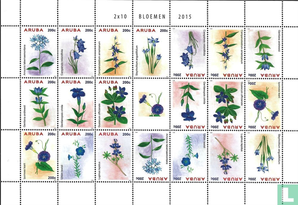 Fleurs
