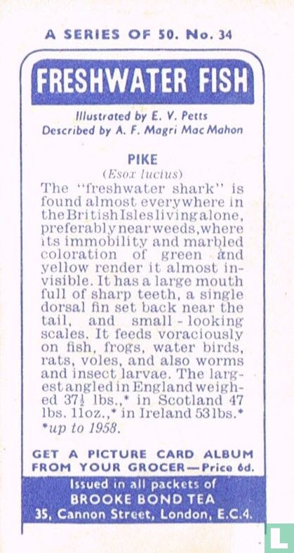Pike