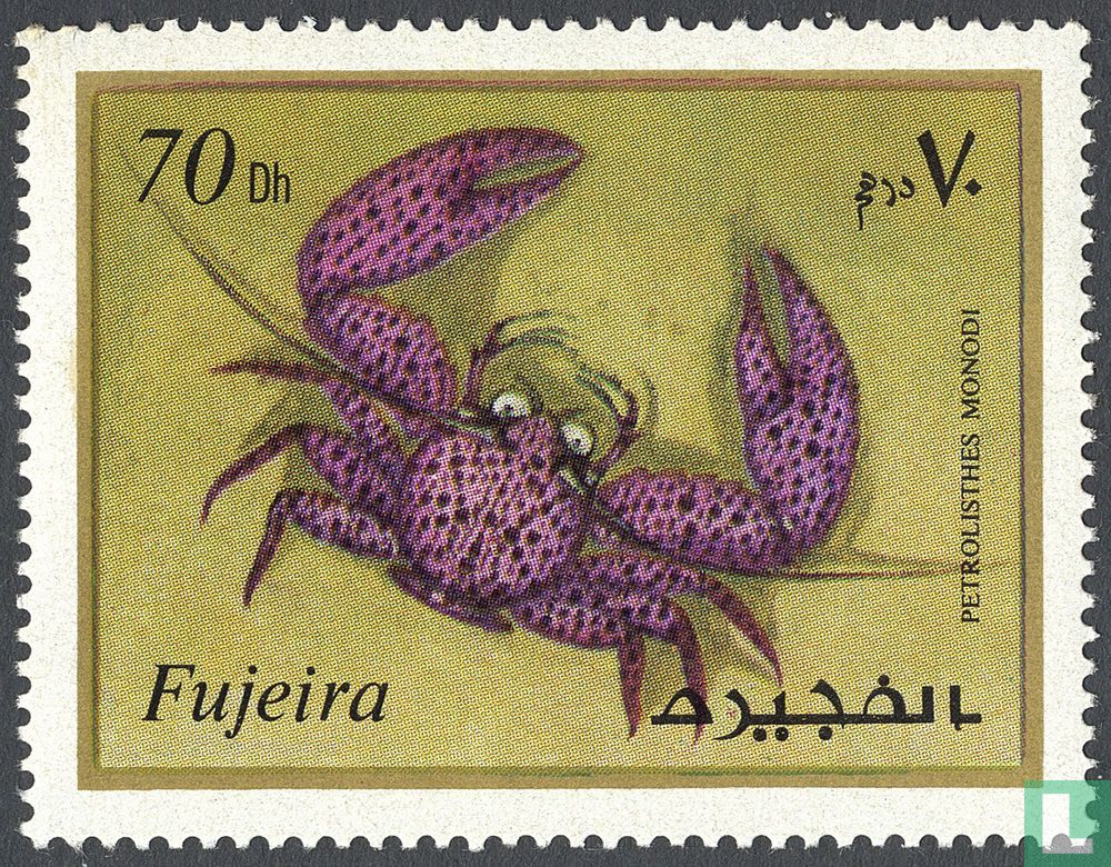 Zeefauna