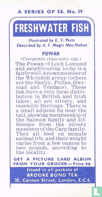 Powan