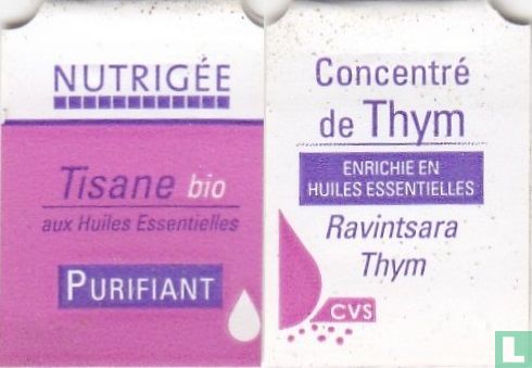 Concentré de Thym