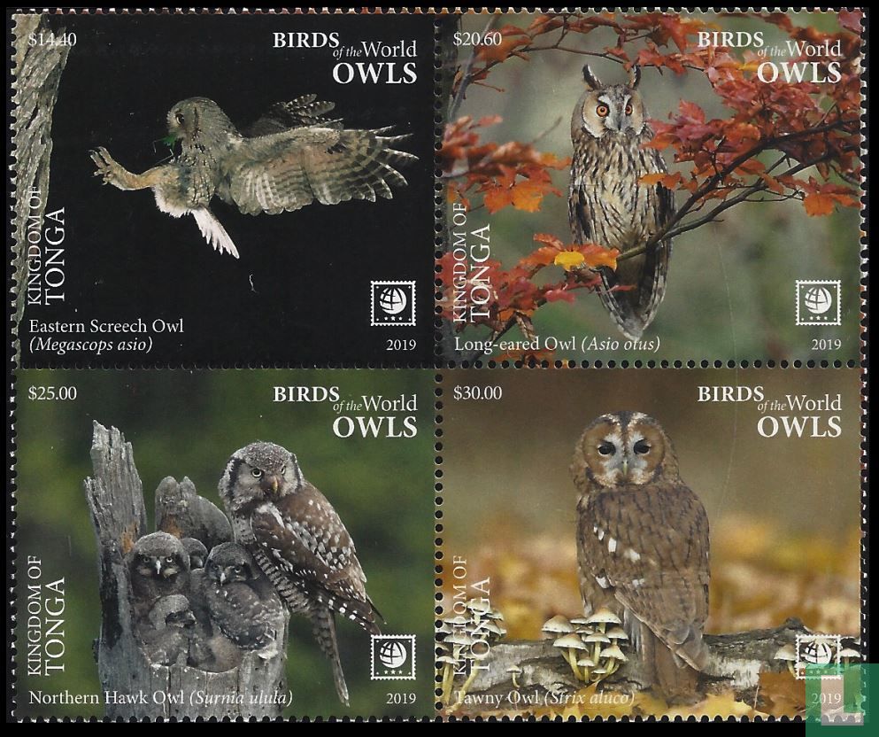 Owls