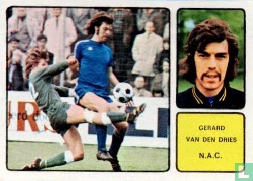 Gerard van den Dries