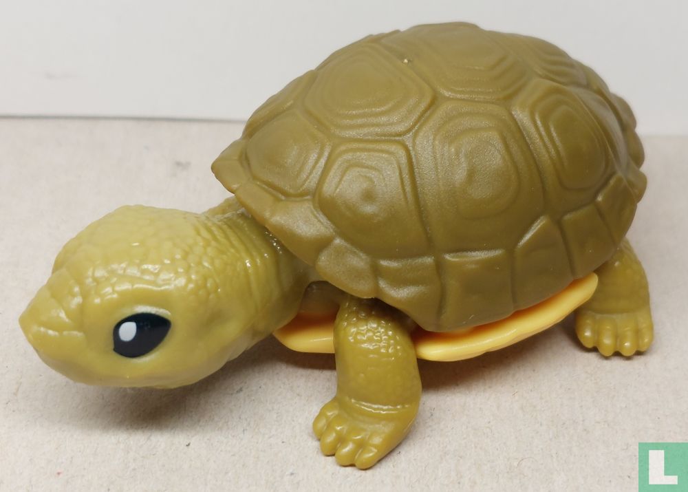 Turtle