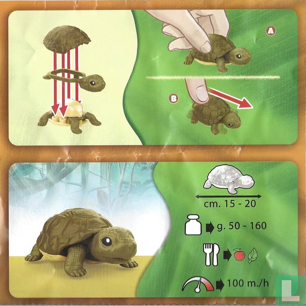 Turtle