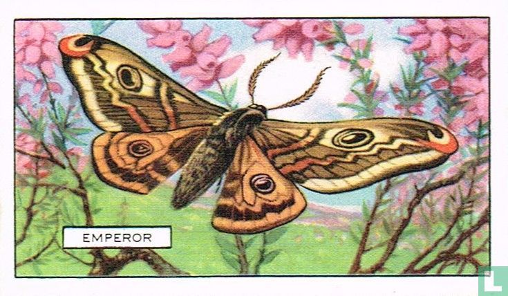 Emperor