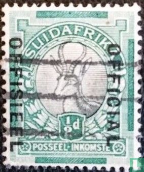 Springbok (African)