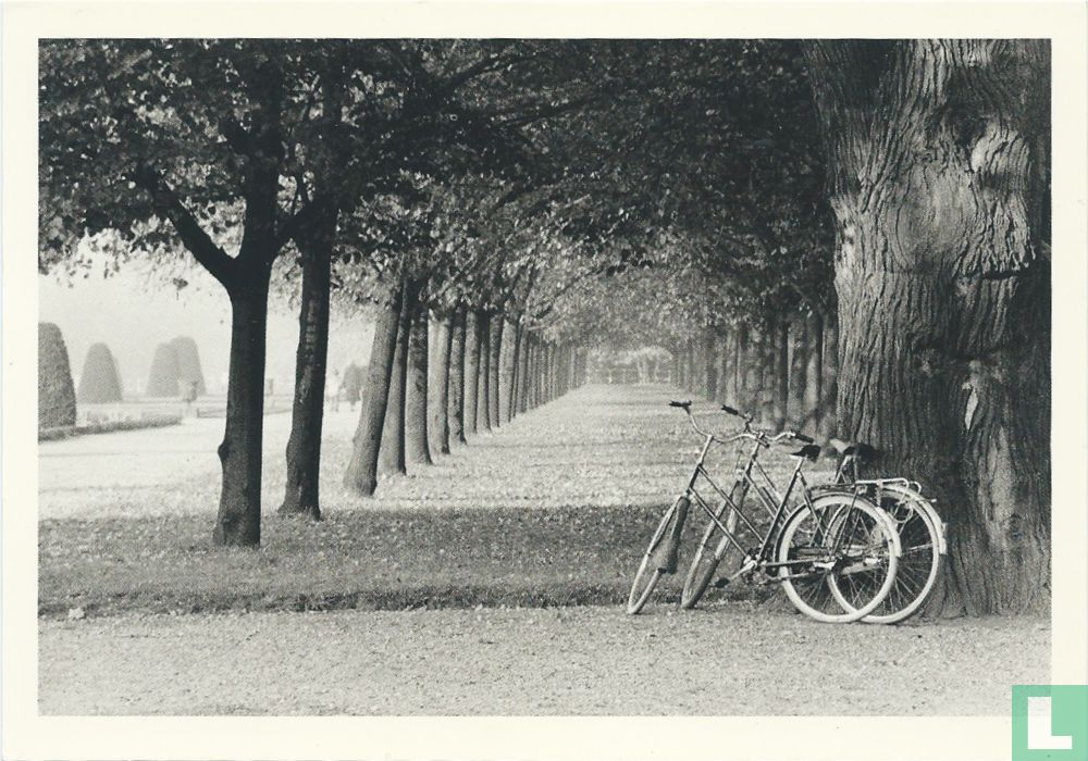Untitled (EB 29)
