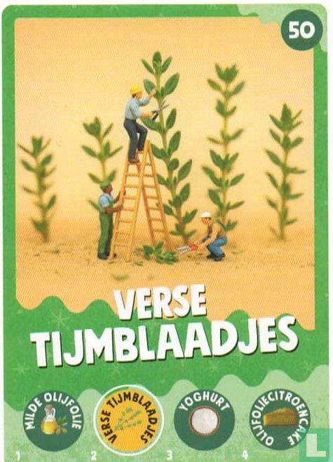 Verse tijmblaadjes