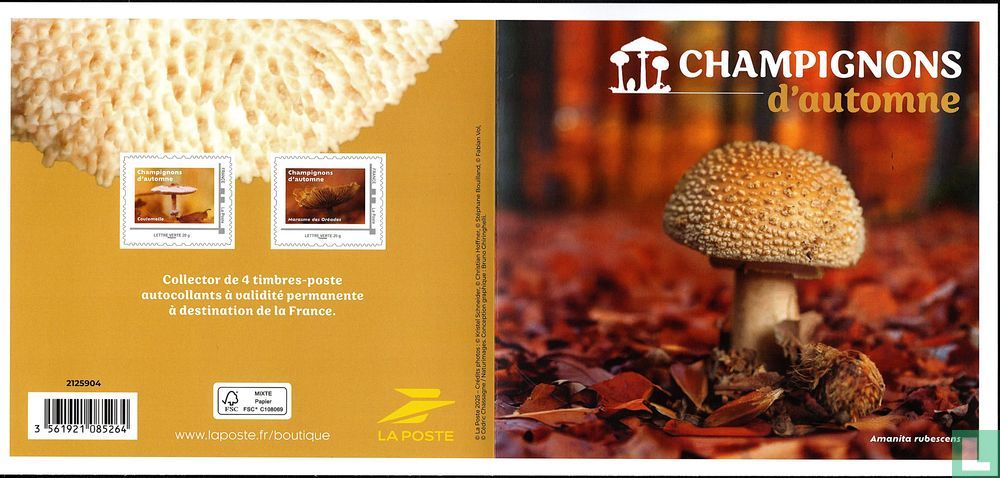 Herbstpilze