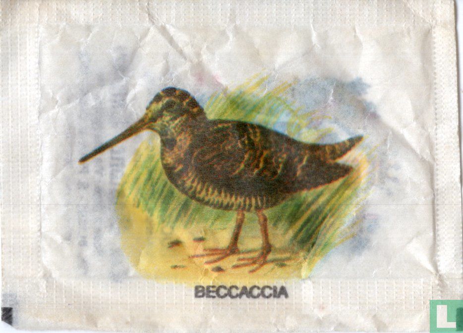 Beccaccia